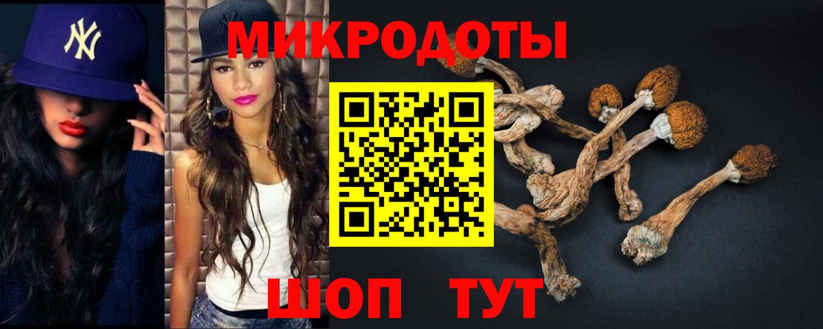 Псилоцибиновые грибы ЛСД Саранск